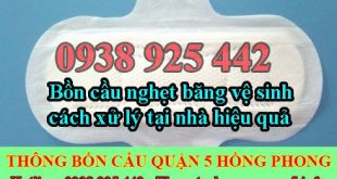 Bồn cầu nghẹt băng vệ sinh và cách xử lý tại nhà hiệu quả